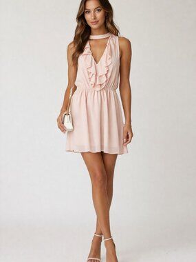 BCBG Dusty Pink Ruffle Sleeveless Mini Dress Size Small